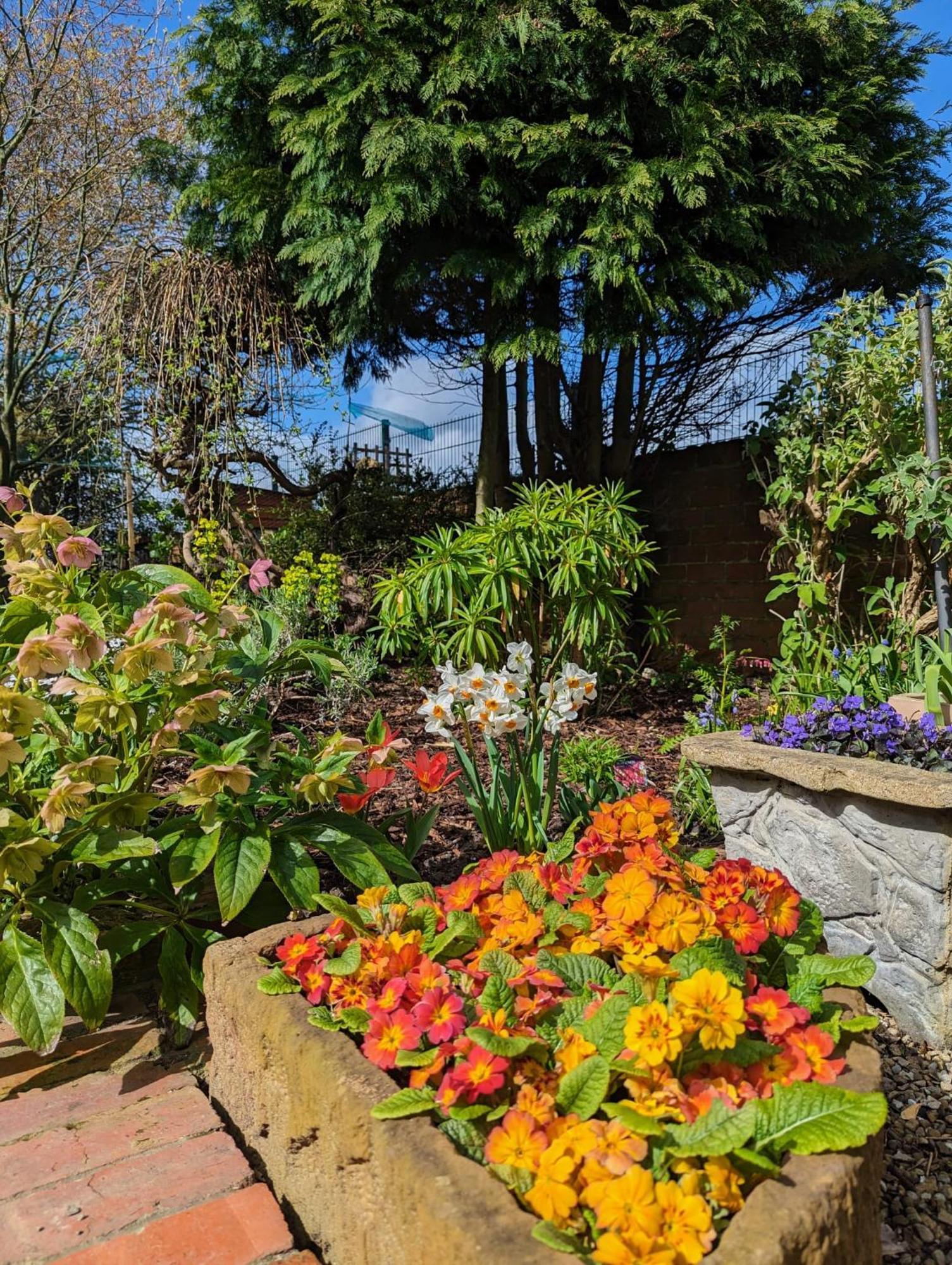 Number 18 Bed & Breakfast Whitby Bagian luar foto