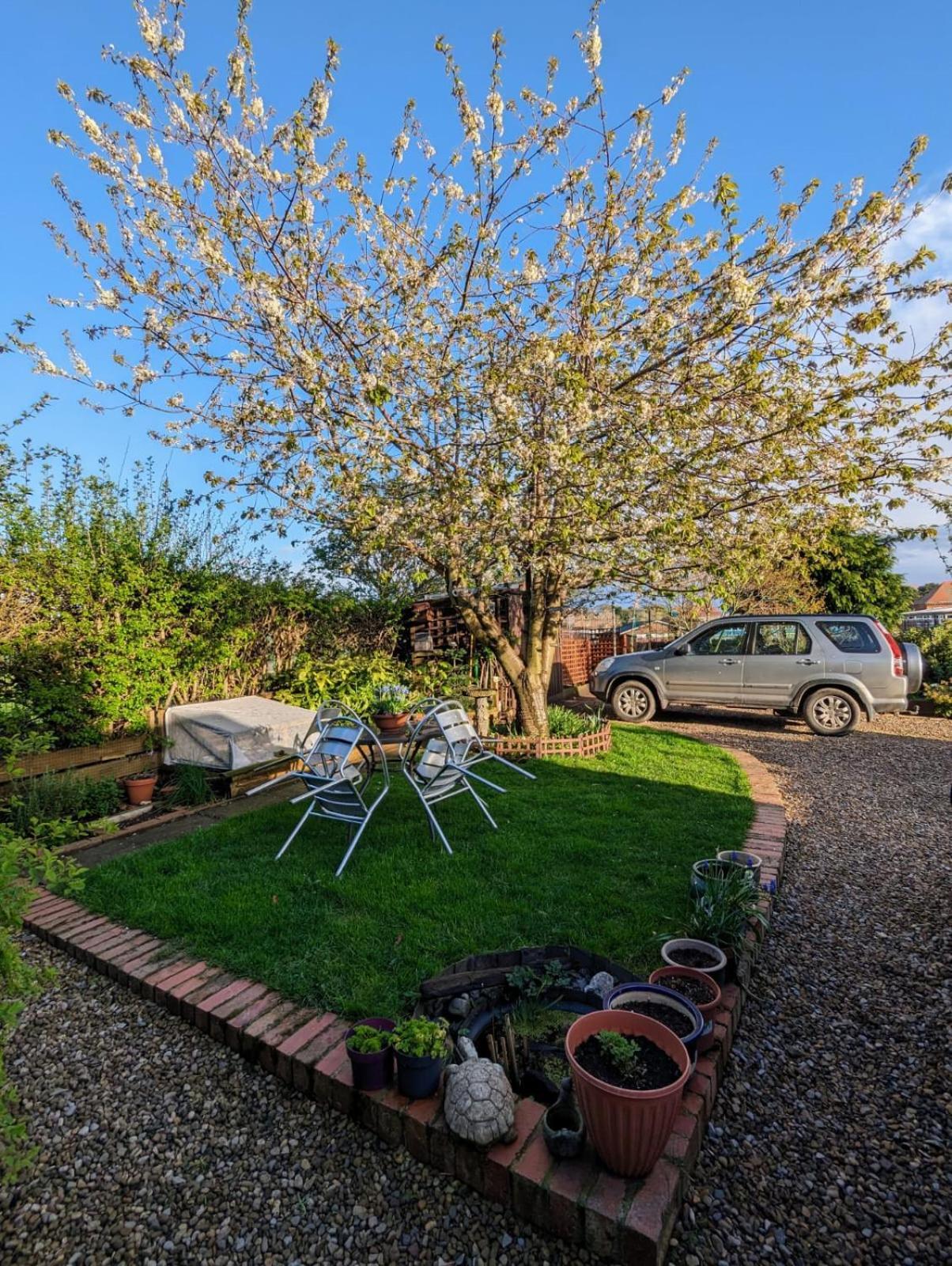 Number 18 Bed & Breakfast Whitby Bagian luar foto